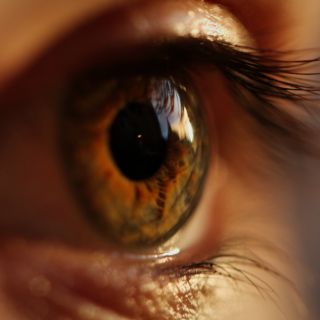 Protecția retinei împotriva deteriorării